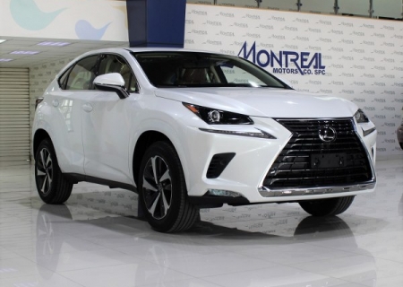 لكزس ان أكس 300